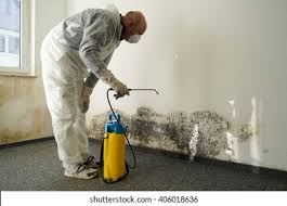 Best Asbestos and Lead Testing During Mold Inspection  in Manchester, IA